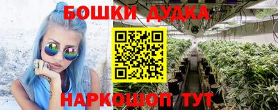 PSILOCYBIN Бугуруслан