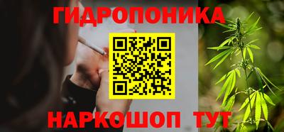 гашик Бузулук